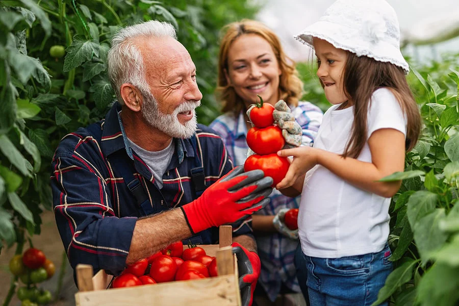 Planning for the Future of Your Family Owned Business